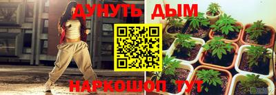 индика Нарткала