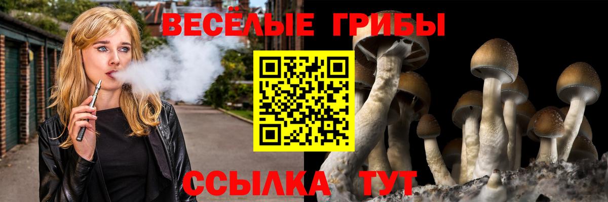  Cocaine Сибай