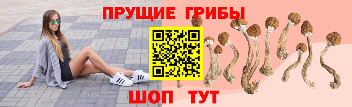 Псилоцибиновые грибы мухоморы Сибай
